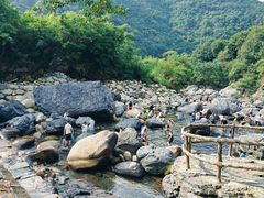 -石台牯牛降景区