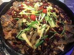 -老板恋上鱼(恒隆广场店)