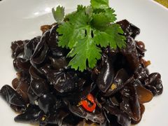 -碧丽宫大酒店(召稼楼店)
