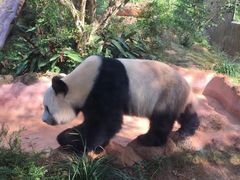 -海南热带野生动植物园