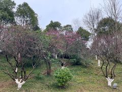 -常德桃花源景区