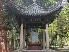 -兰亭风景区