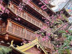 -虾饺妹·酒家(海珠广场店)