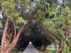 -洛阳古墓博物馆