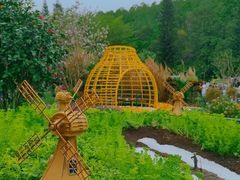 -深圳仙湖植物园