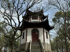 -上海佘山国家森林公园天马山园