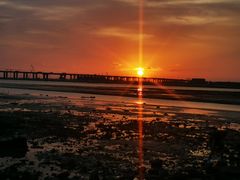 -宝安西湾红树林湿地公园