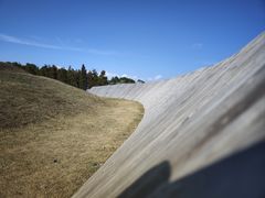 -春花秋色城市公园