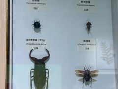 -中国湿地博物馆