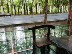 -合肥滨湖国家森林公园