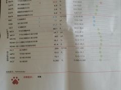 -瑞派天使宠物医院·神经外科·骨科·核磁CT(洛川中路店)
