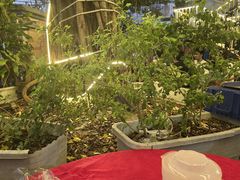 -隆都四季香饭店(碧海路店)