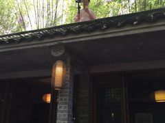 -竹吟山房