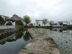 -东梓关景区村庄