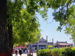 -洛阳白马寺