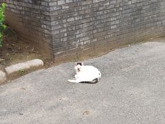 -元大都城垣遗址公园