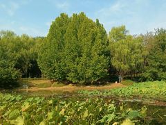 -云岗森林公园