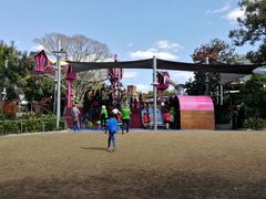 游乐设施-布里斯班南岸公园