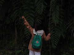 -龙窝子