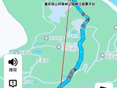 -铁山坪森林公园