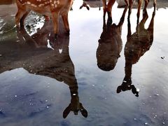 -第五季龙水凤港生态露营农场
