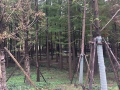 -春花秋色城市公园