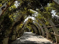 -天津东丽湖风景区