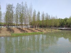 -昆山城市生态森林公园