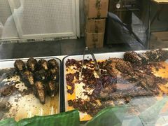 兔头-王妈手撕烤兔