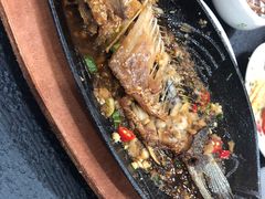 -老黑板筋(顺义总店)