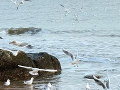 -老虎石海上公园