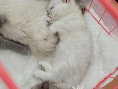 -龙湖南京江北天街