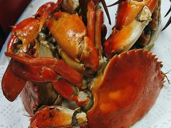 -鑫悦楼煎蟹·16年海鲜大排档