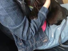 -A猫a狗全科·犬猫异宠·芥西宠物医院(南开总院)