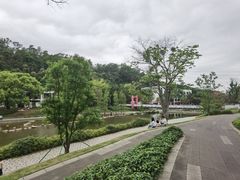 -梧桐山风景名胜区