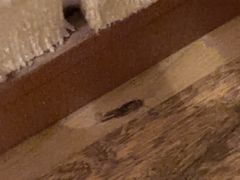 -秦皇岛阿尔卡迪亚滨海度假酒店