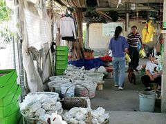 -马陆小张葡萄园农家乐