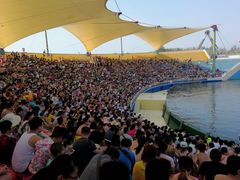 -秦皇岛乐岛海洋王国