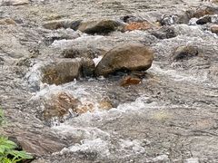 -将军关探险漂流