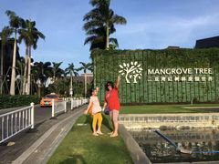 -三亚湾红树林度假世界(木棉酒店)