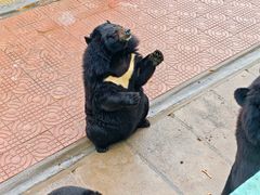 -西霞口神雕山野生动物世界