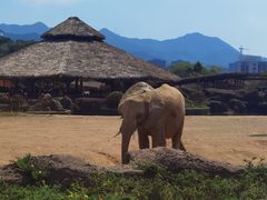 -杭州野生动物世界
