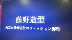 点击看大图 -藤野造型