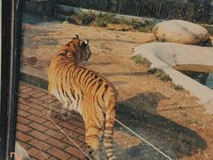 -泉州海丝野生动物世界