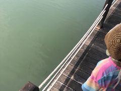 -苏州太湖湖滨国家湿地公园