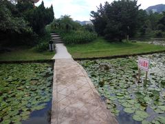 -四海公园(南山区)