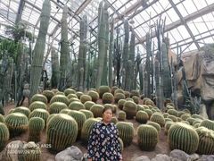 -南山植物园