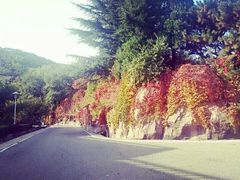 -北京宽沟会议中心