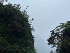 -峨眉山风景名胜区
