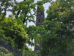 -上海佘山国家森林公园天马山园